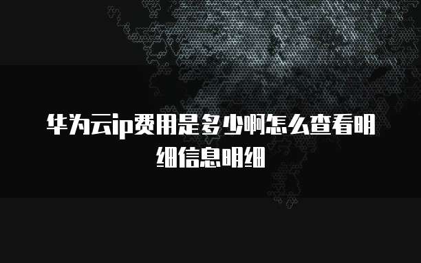 华为云ip费用是多少啊怎么查看明细信息明细
