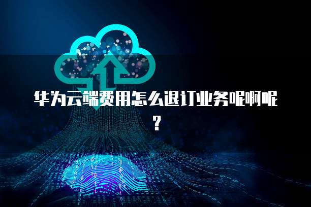 华为云端费用怎么退订业务呢啊呢?