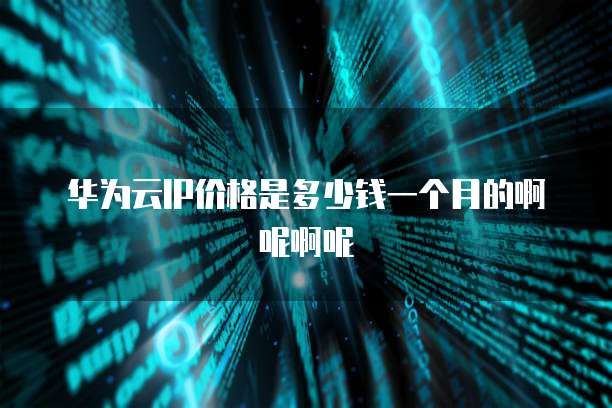 华为云IP价格是多少钱一个月的啊呢啊呢