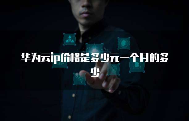 华为云ip价格是多少元一个月的多少