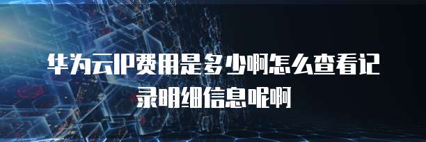 华为云IP费用是多少啊怎么查看记录明细信息呢啊