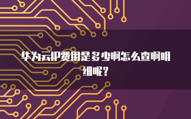 华为云IP费用是多少啊怎么查啊明细呢?