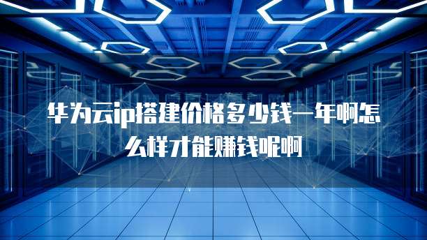 华为云ip搭建价格多少钱一年啊怎么样才能赚钱呢啊