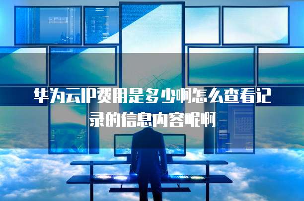 华为云IP费用是多少啊怎么查看记录的信息内容呢啊