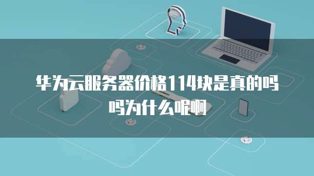 华为云服务器价格114块是真的吗吗为什么呢啊