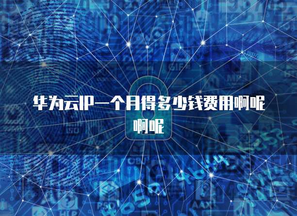 华为云IP一个月得多少钱费用啊呢啊呢
