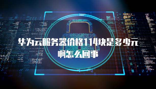 华为云服务器价格114块是多少元啊怎么回事