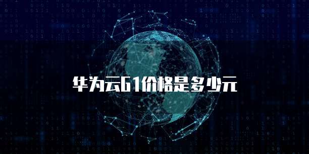 华为云G1价格是多少元
