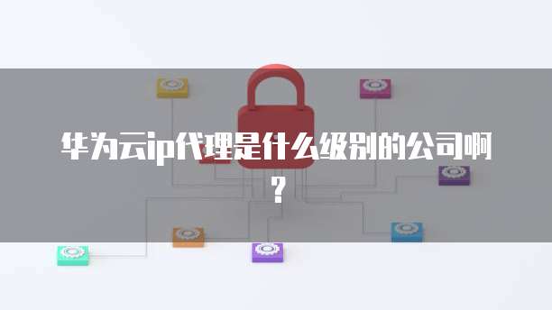 华为云ip代理是什么级别的公司啊？