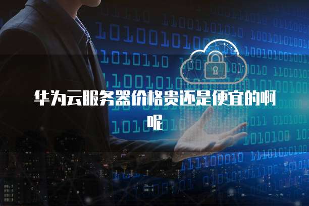 华为云服务器价格贵还是便宜的啊呢