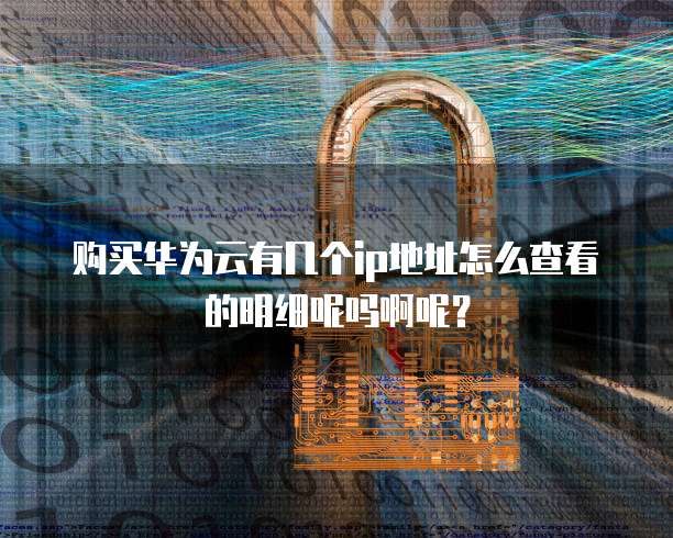 购买华为云有几个ip地址怎么查看的明细呢吗啊呢?