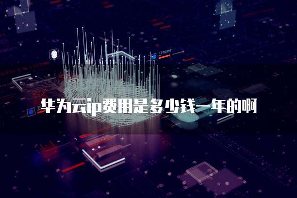 华为云ip费用是多少钱一年的啊