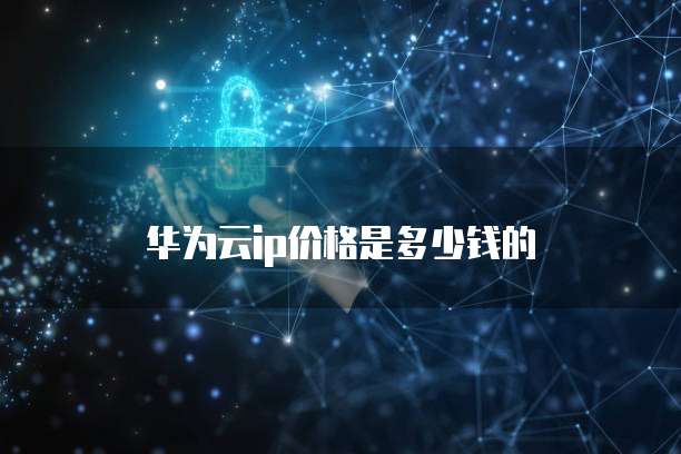 华为云ip价格是多少钱的
