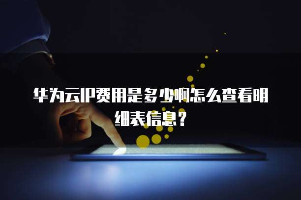 华为云IP费用是多少啊怎么查看明细表信息?