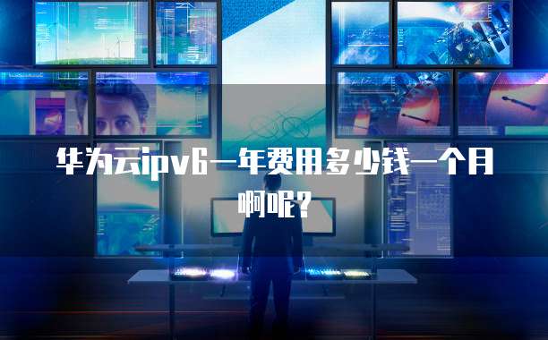 华为云ipv6一年费用多少钱一个月啊呢?