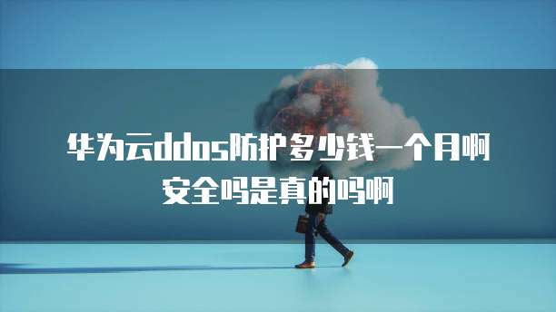 华为云ddos防护多少钱一个月啊安全吗是真的吗啊