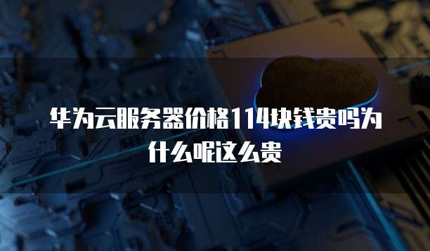华为云服务器价格114块钱贵吗为什么呢这么贵