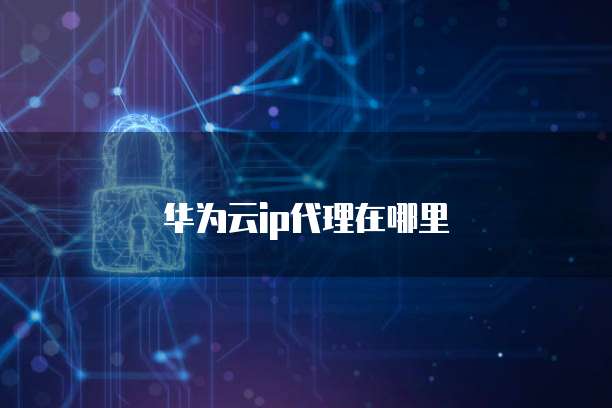 华为云ip代理在哪里
