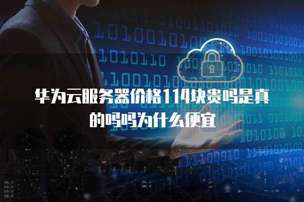 华为云服务器价格114块贵吗是真的吗吗为什么便宜