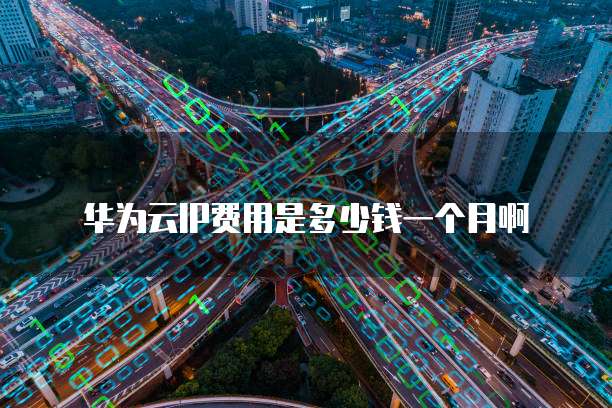 华为云IP费用是多少钱一个月啊
