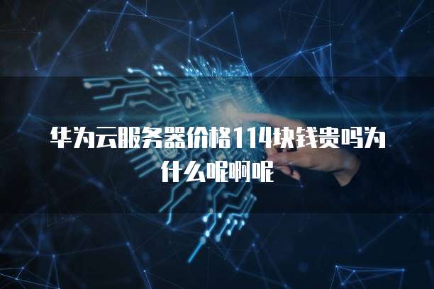 华为云服务器价格114块钱贵吗为什么呢啊呢