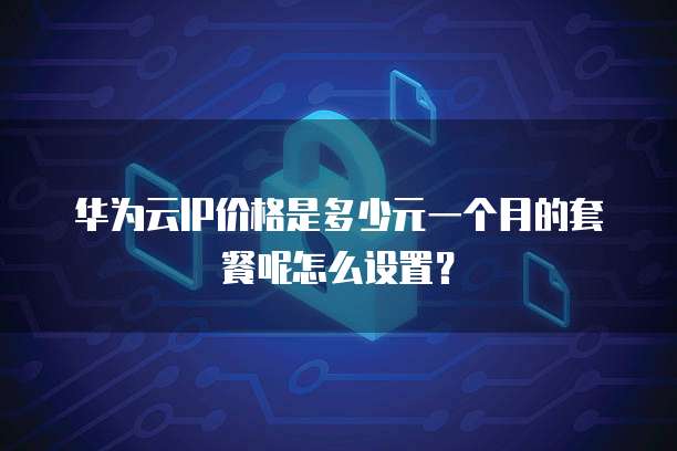 华为云IP价格是多少元一个月的套餐呢怎么设置?