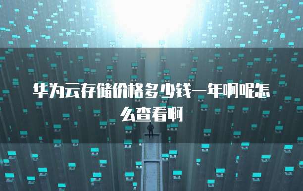 华为云存储价格多少钱一年啊呢怎么查看啊