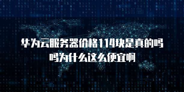 华为云服务器价格114块是真的吗吗为什么这么便宜啊