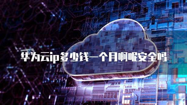华为云ip多少钱一个月啊呢安全吗