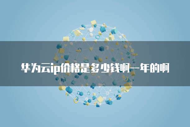 华为云ip价格是多少钱啊一年的啊