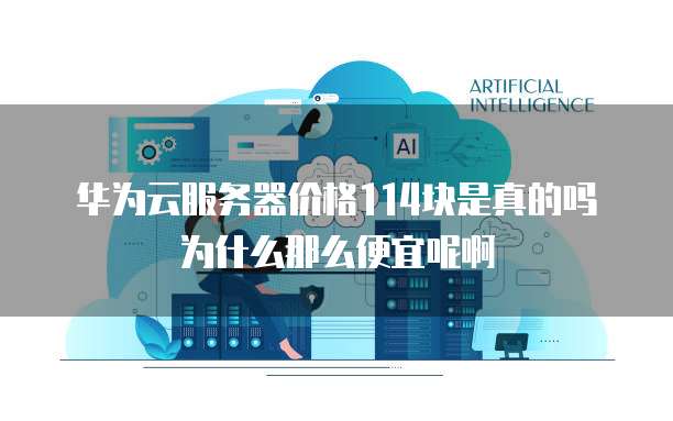 华为云服务器价格114块是真的吗为什么那么便宜呢啊