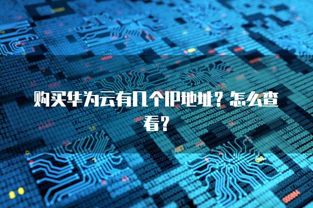 购买华为云有几个IP地址?怎么查看?
