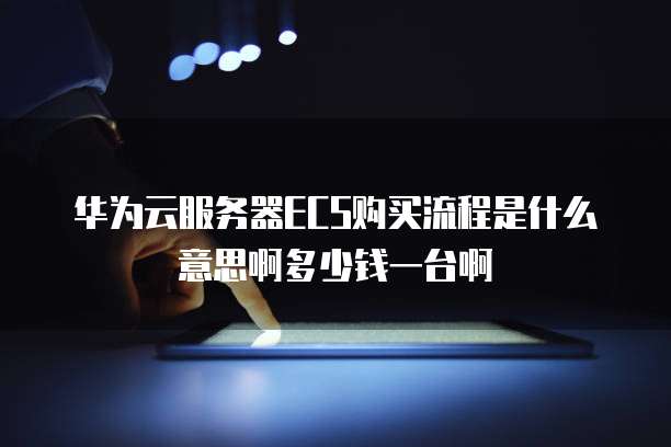 华为云服务器ECS购买流程是什么意思啊多少钱一台啊