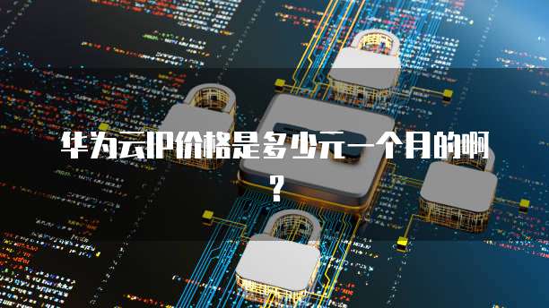 华为云IP价格是多少元一个月的啊?