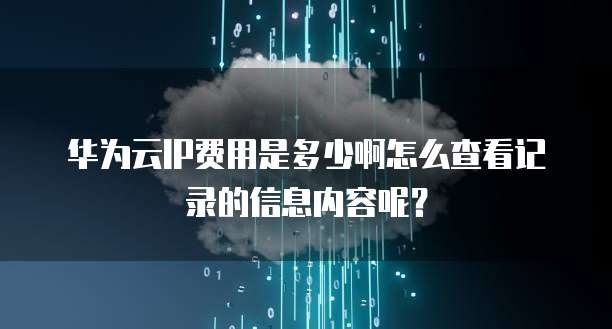 华为云IP费用是多少啊怎么查看记录的信息内容呢?
