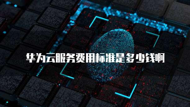 华为云服务费用标准是多少钱啊