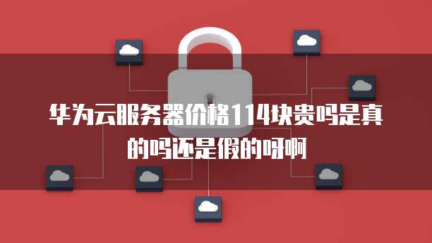 华为云服务器价格114块贵吗是真的吗还是假的呀啊