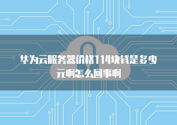 华为云服务器价格114块钱是多少元啊怎么回事啊