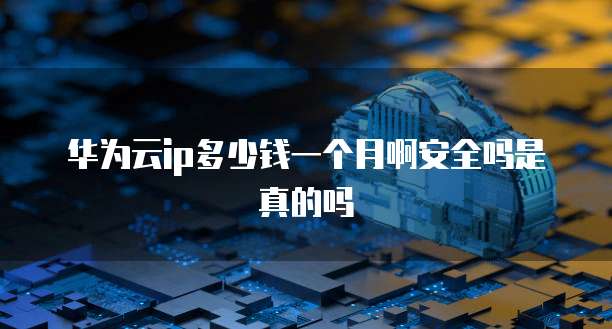 华为云ip多少钱一个月啊安全吗是真的吗