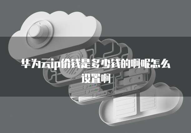 华为云ip价钱是多少钱的啊呢怎么设置啊