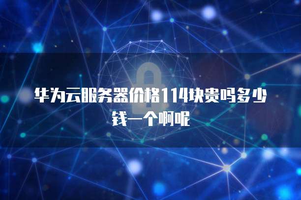 华为云服务器价格114块贵吗多少钱一个啊呢