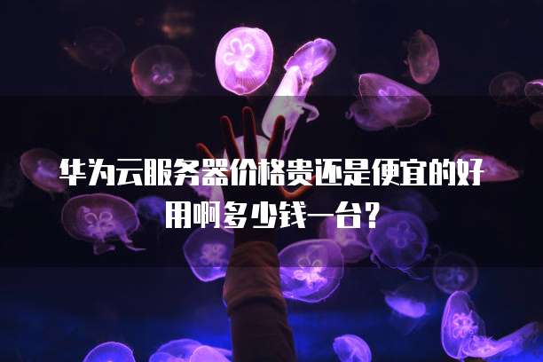 华为云服务器价格贵还是便宜的好用啊多少钱一台?