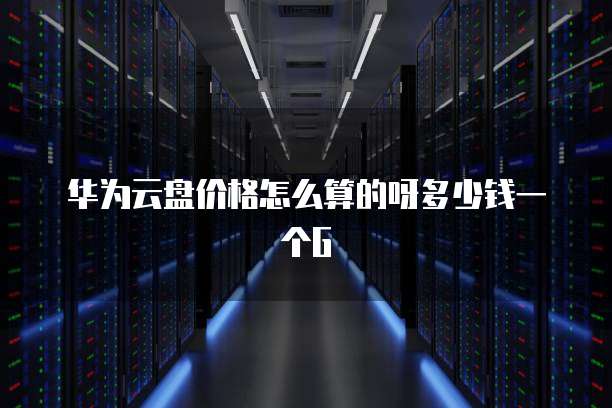 华为云盘价格怎么算的呀多少钱一个G