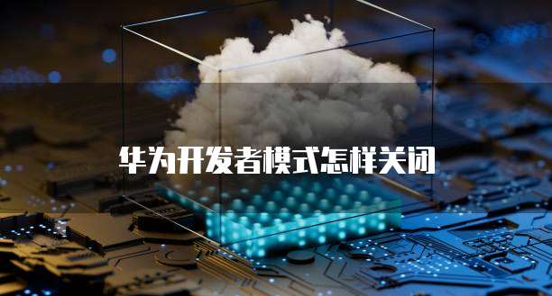 华为云服务器如何进入使用页面模式?