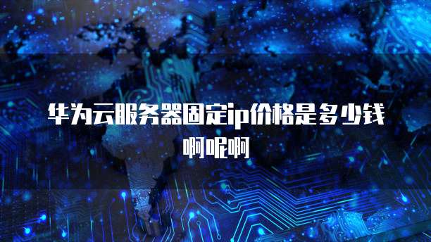 华为云服务器固定ip价格是多少钱啊呢啊
