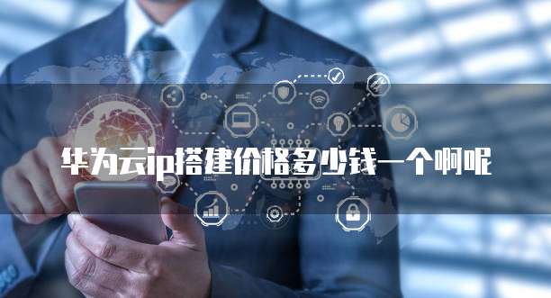 华为云ip搭建价格多少钱一个啊呢