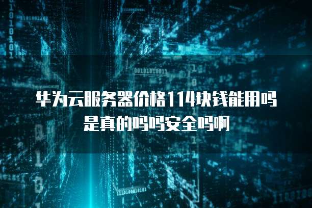 华为云服务器价格114块钱能用吗是真的吗吗安全吗啊