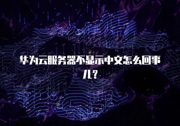 华为云服务器不显示中文怎么回事儿?