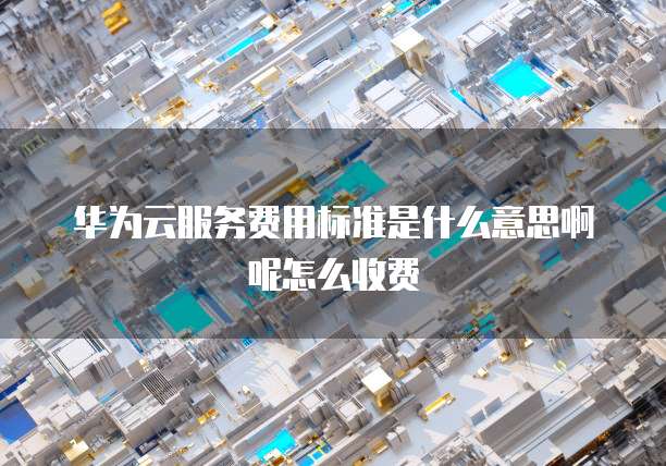 华为云服务费用标准是什么意思啊呢怎么收费