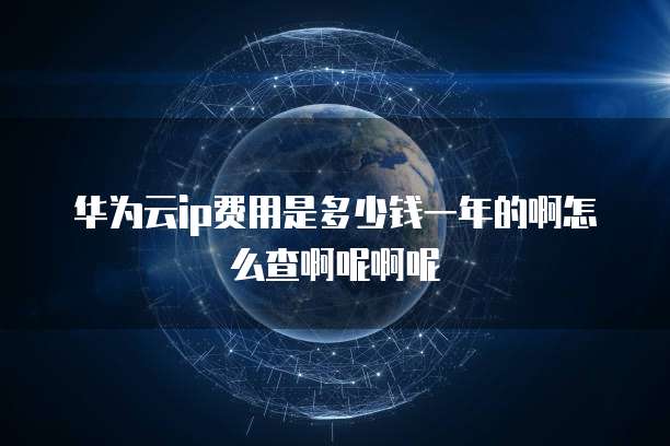 华为云ip费用是多少钱一年的啊怎么查啊呢啊呢